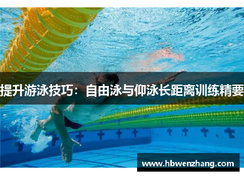 提升游泳技巧：自由泳与仰泳长距离训练精要