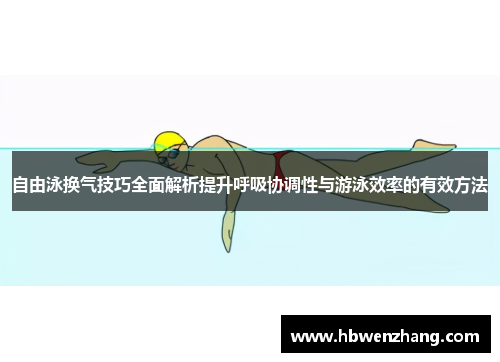 自由泳换气技巧全面解析提升呼吸协调性与游泳效率的有效方法